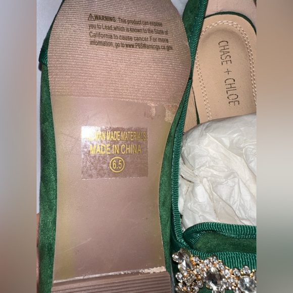 VICI Vanderpump Chase + Chloe Suede Emerald Flats with Crystal Buckle 6.5 - Picture 3 of 5